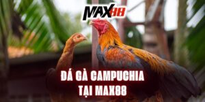 da-ga-campuchia-tai-max88