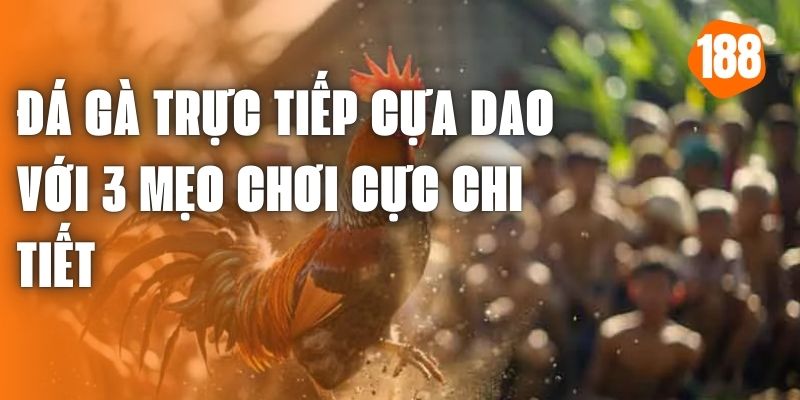 Đá Gà Trực Tiếp Thomo Hôm Nay - Cập Nhập Mẹo Chơi Hay